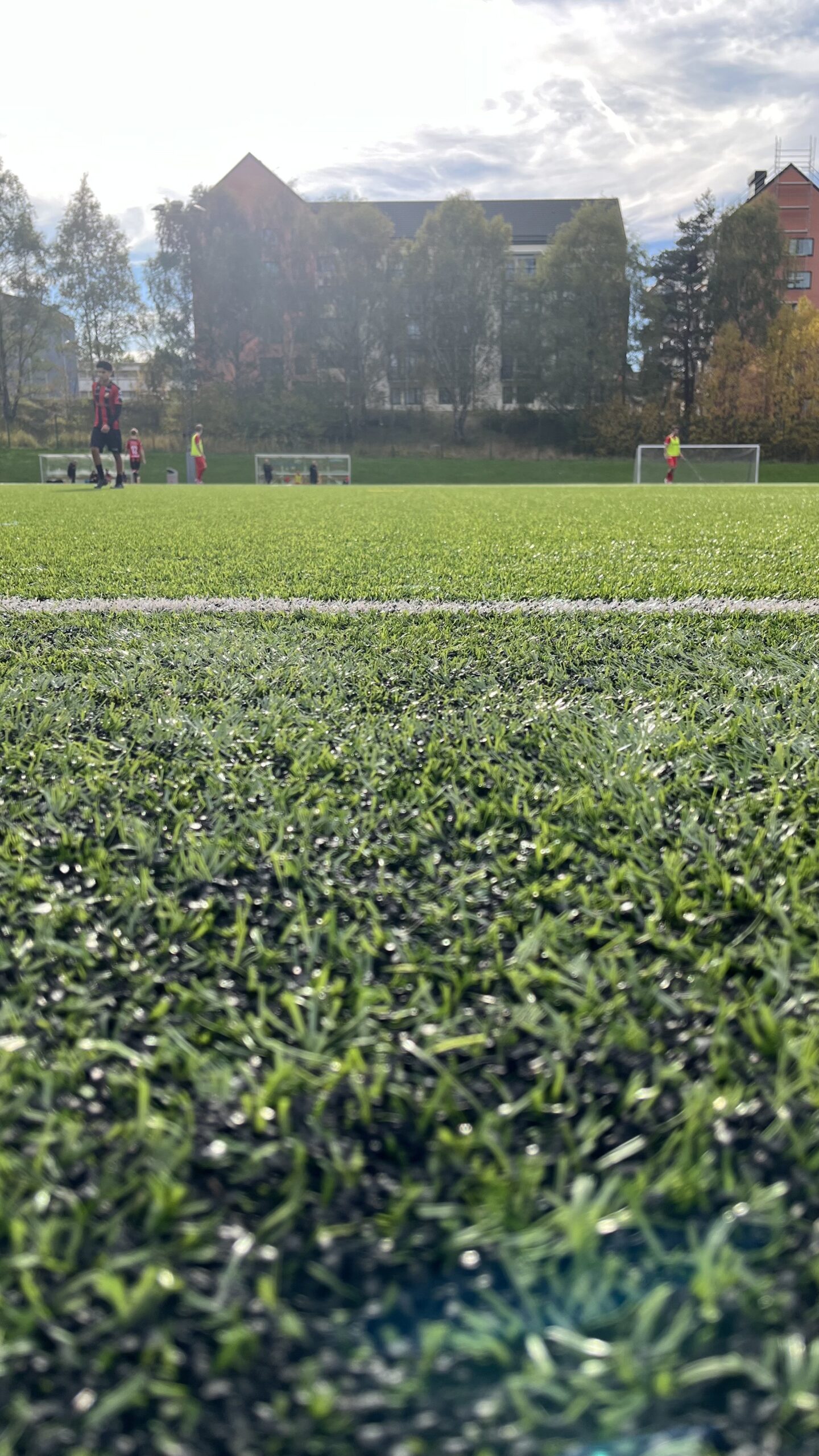 Byte av gräs på mellanplan